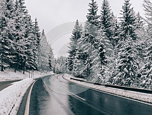 Winter road. Two lane road through the forest.