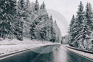 Winter road. Two lane road through the forest.