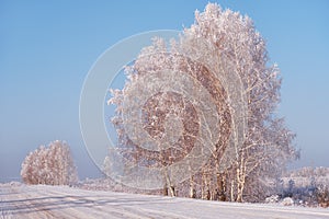 Winter road under snow. Frozen birch trees covered with hoarfrost and snow