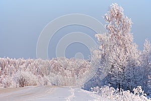 Winter road under snow. Frozen birch trees covered with hoarfrost and snow