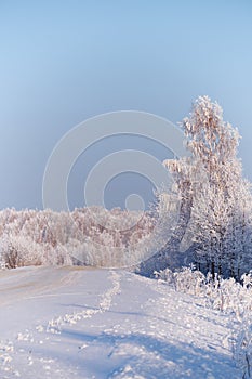 Winter road under snow. Frozen birch trees covered with hoarfrost and snow