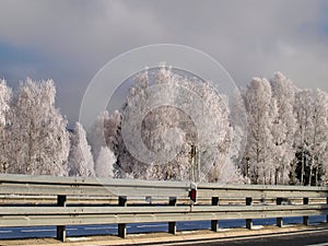 Winter road