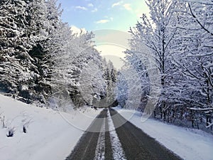 Winter road in the forest Snow