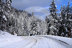 Winter Roads 2