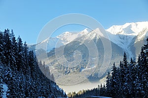 Winter rockies landscape