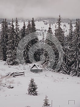 Winter in the roumanian mountain