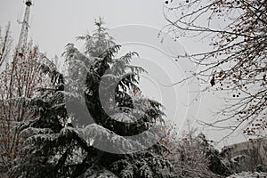 Winter in Rural China