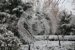 Winter in Rural China