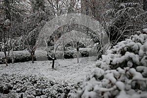 Winter in Rural China