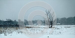 Winter rural landscape.