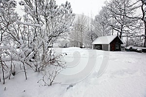 Winter rural landscape