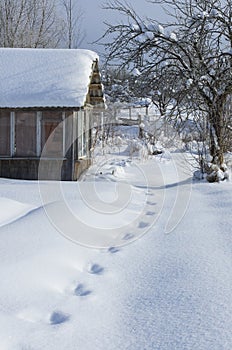 Winter rural landscape with abandoned summer small house