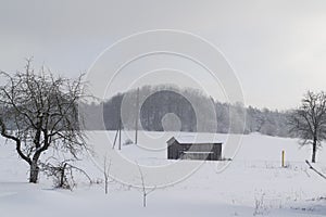 Winter rural landscape with an abandoned wooden house in a snowy field