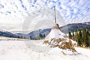 Winter rural landscape, haystacks on the background of snow-capped mountains and forestÐ±, Transcarpathia, Ukraine