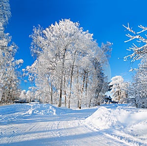 Winter rural landscape with the road the forest and the village