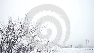 Winter rural landscape with tree, roofs and chimneys in the snow.