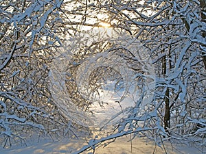 Winter rural path