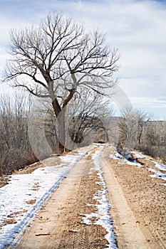 Winter rural road