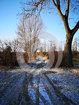 Winter rural road. Trees without leaves on the edges of the road. Little snow on the road. November or December. Blue sky