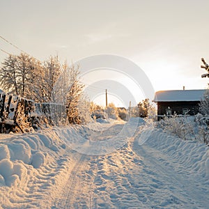 Winter rural road and trees in snow