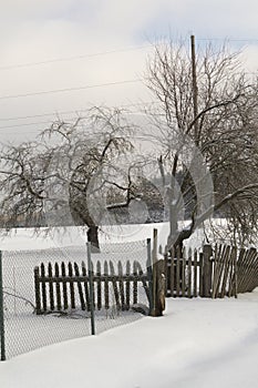 Winter rural road and trees in snow. Garden with fence