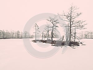 Winter rural scene with fog and white fields - retro vintage eff