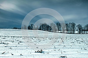 Winter rural scenics and landscapes of Ontario canada in the heart of winter and snow.