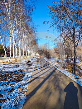 Winter russian park