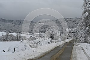 Winter's Blanket: A Snowy Road Leading to a Charming Village