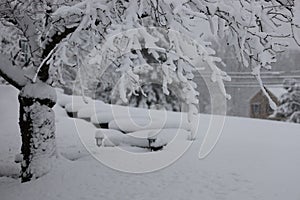 Winter's Bleakness Cheered By Snowy Covering