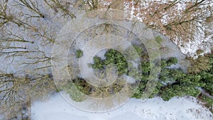 Winter's Lace: Aerial Patchwork of Snow and Evergreens