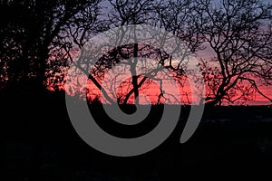 Winter\'s Palette - A Captivating Sunset Silhouettes Stark Tree Branches