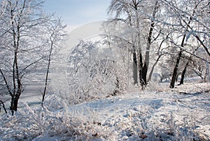 Winter`s Tale on the banks of the Dnieper River, Ukraine