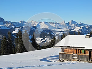 Winter in the Saanenland