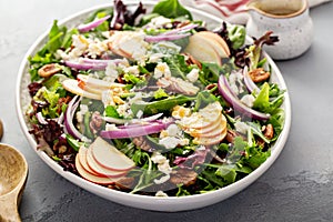 Winter salad with apple and pecans with vinaigrette dressing