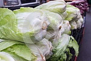 Winter salad fresh seasonal vegetables