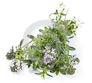 Winter Savory (isolated on white)