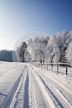 Winter scene