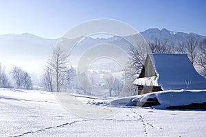 Winter scene photo