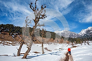 The winter scene in Aru Valley near Pahalgam, Kashmir, India