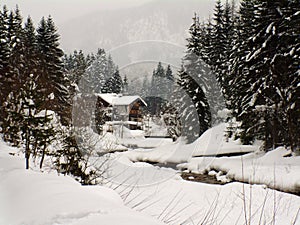 Winter scene in Austria photo