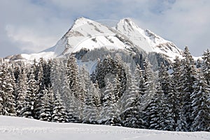 Winter Scene, Austria