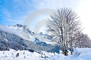 Winter scene in Alps