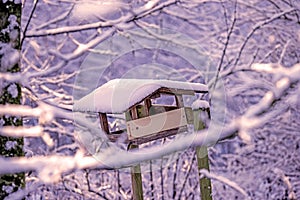 Winter scene, bird house with snow