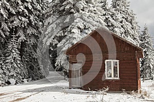 Winter scene, bolu, turkey