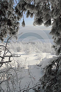 Winter scene in Bulgaria