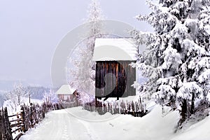 Winter scene in the Carpathian mountains , remote and harsh environment