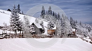 Winter scene in the Carpathian mountains , remote and harsh environment