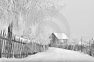 Winter scene in the Carpathian mountains , remote and harsh environment