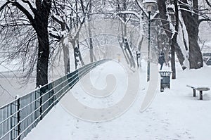 Winter scene in the city. Peaceful winter atmosphere in city park with snowy trees. People walking on walkway in winter season.